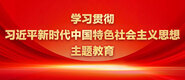 操逼插逼观看学习贯彻习近平新时代中国特色社会主义思想主题教育_fororder_ad-371X160(2)